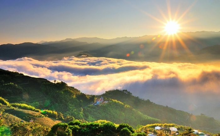 台北到阿里山交通 台北到阿里山交通