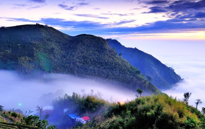 阿里山自駕遊 阿里山自駕遊