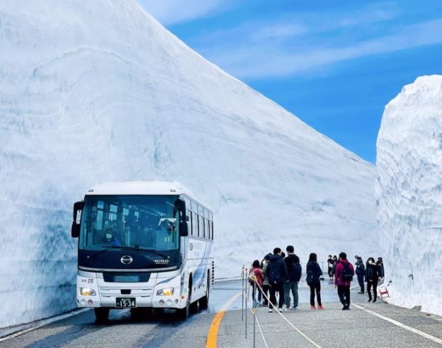 阿爾卑斯路線票 阿爾卑斯路線票