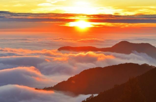 阿里山自駕遊 阿里山自駕遊