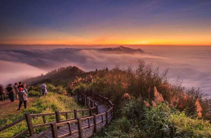 阿里山自駕遊 阿里山自駕遊