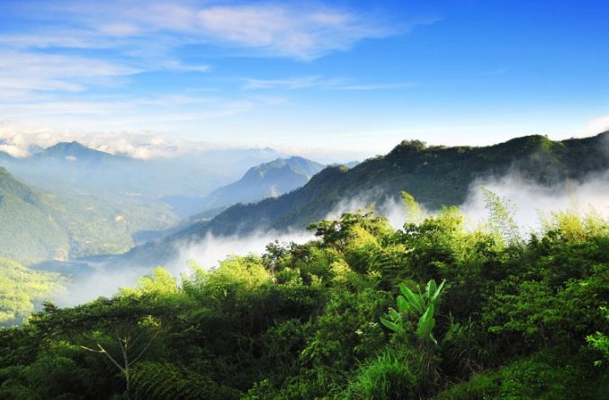 阿里山三天兩夜台北出發