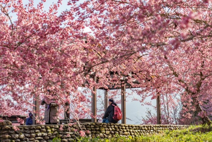 中部南部海岸景點 中部南部海岸景點