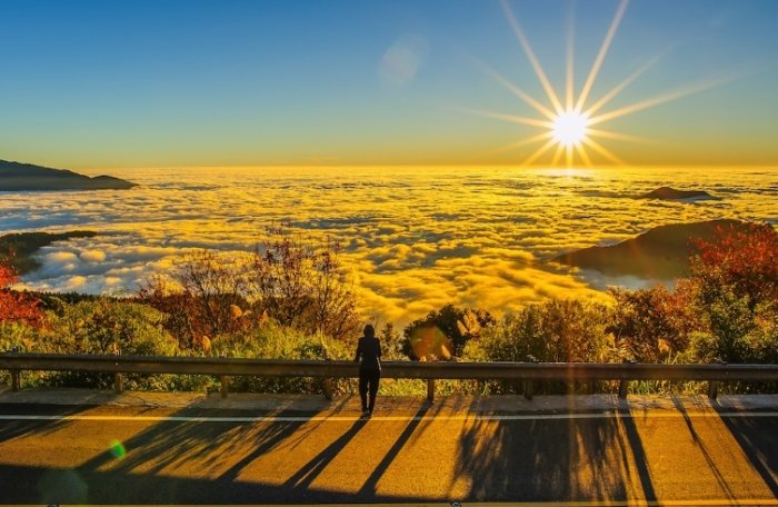 台北到阿里山交通 台北到阿里山交通