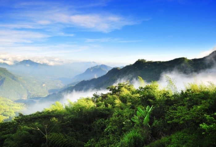 阿里山行程規劃 阿里山行程規劃