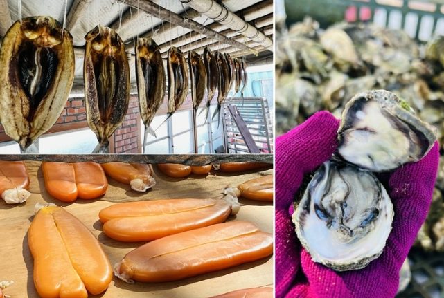 嘉義海線景點 嘉義海線景點