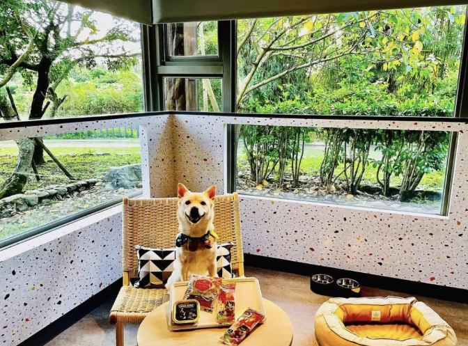 宜蘭室內寵物友善