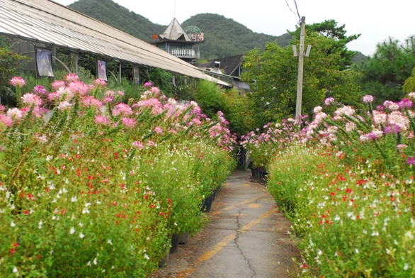 宜蘭帶寵物旅遊 宜蘭帶寵物旅遊