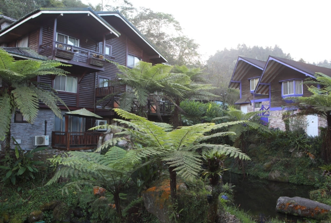 溪頭住宿預訂 溪頭住宿預訂