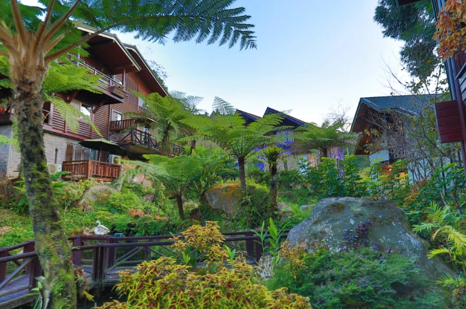 溪頭小木屋住宿推薦 溪頭小木屋住宿推薦