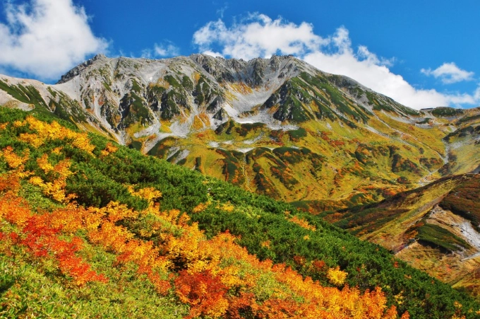 阿爾卑斯路線交通券