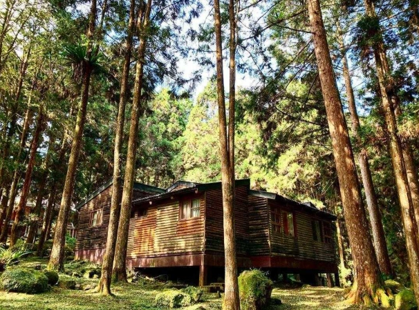 溪頭住宿預訂 溪頭住宿預訂