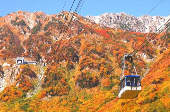 阿爾卑斯路線交通券