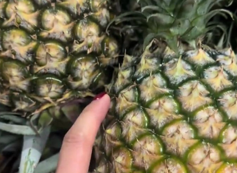 台灣鳳梨選購指南