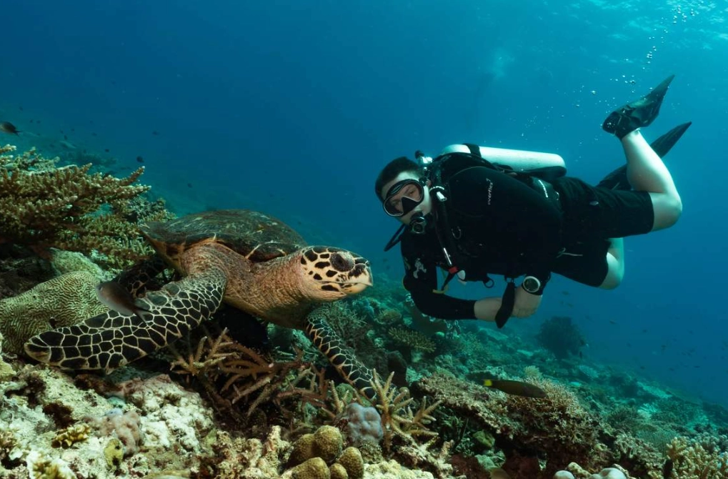 長灘島自由行攻略