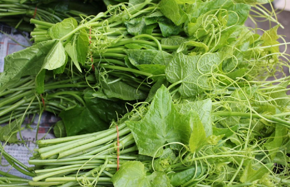 龍鬚菜處理方法