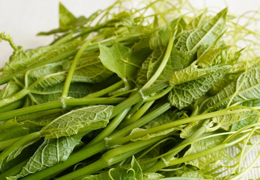龍鬚菜清洗技巧