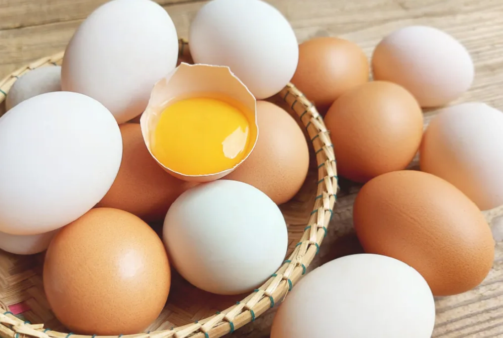 雞蛋膽固醇