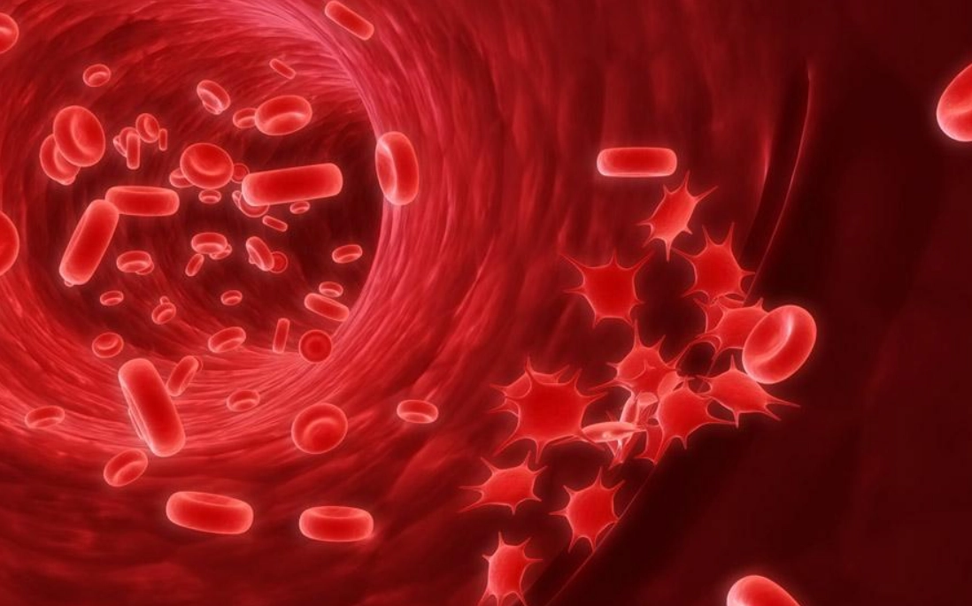 淋巴球偏低原因