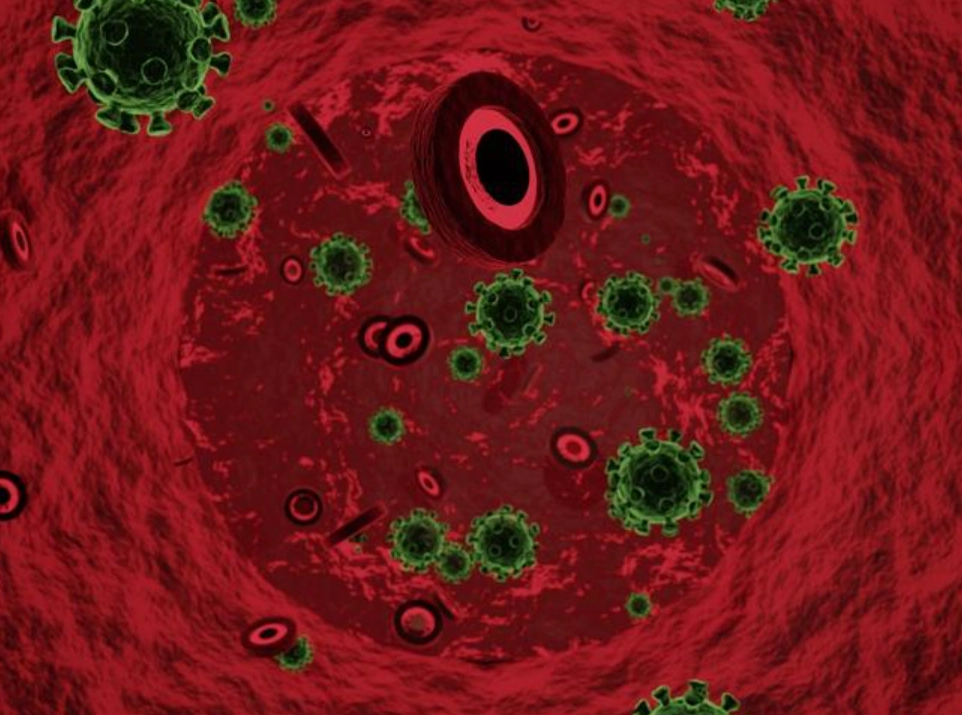 淋巴球偏低原因