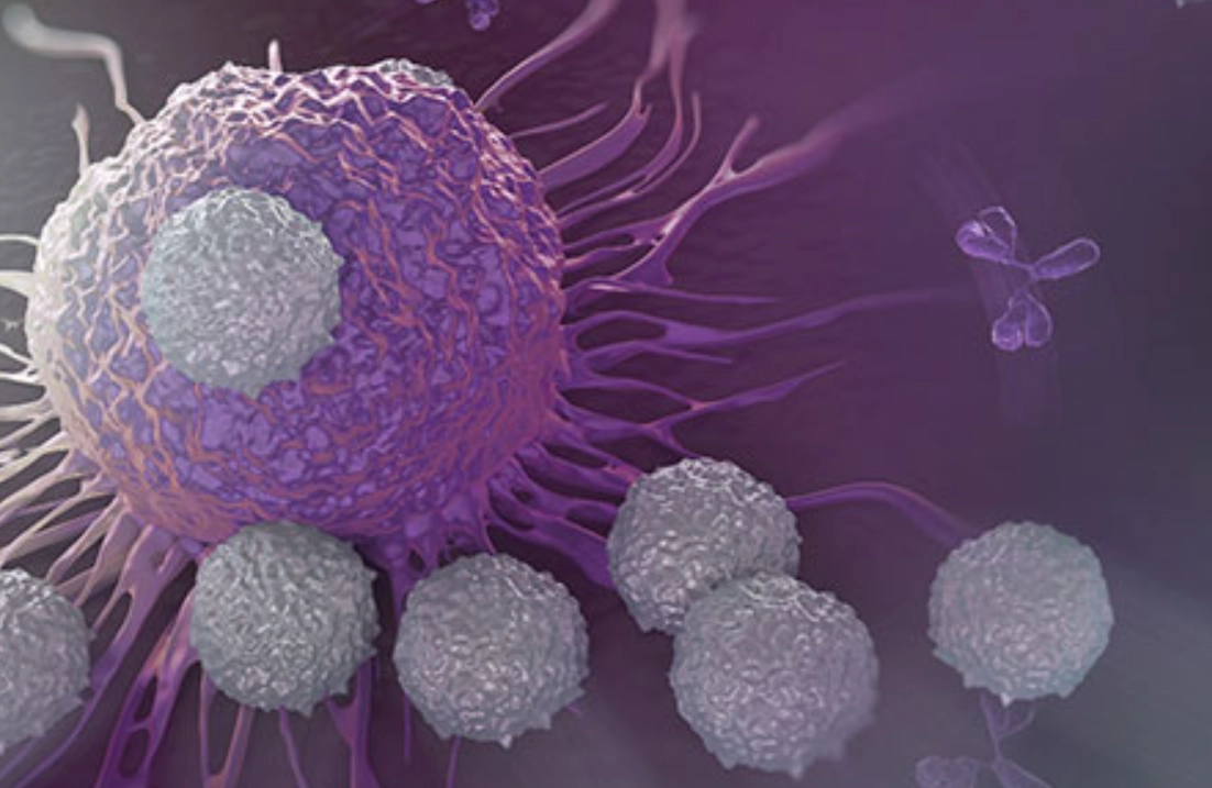 白血球過低怎麼辦