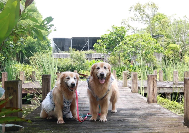 宜蘭寵物友善農場